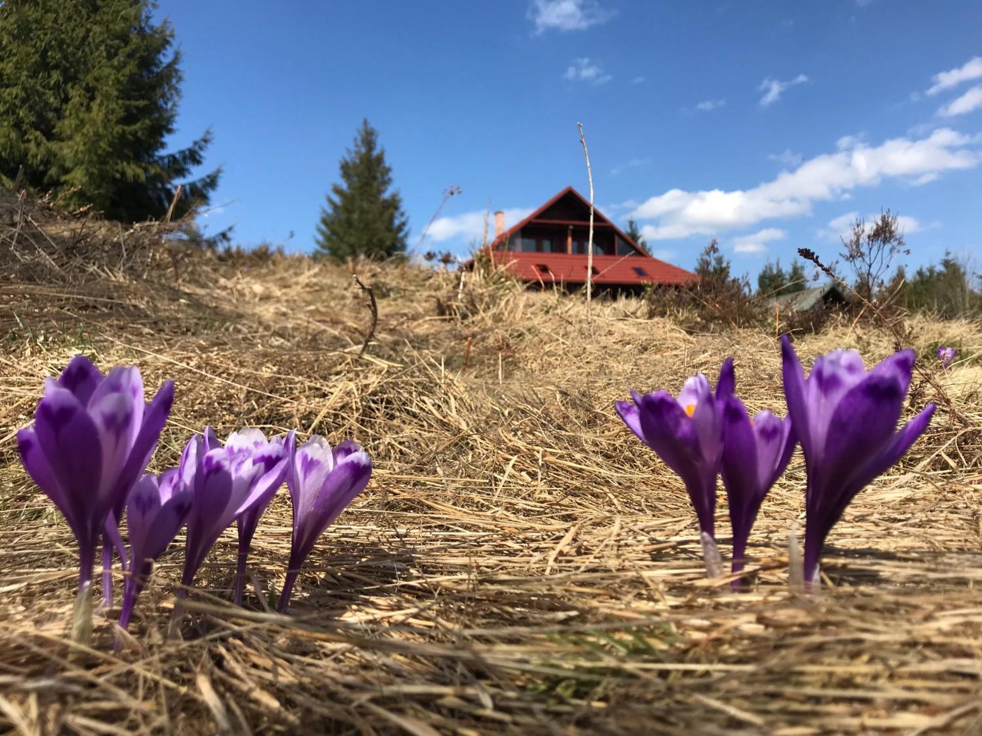 Cabana Transilvania Belis Luaran gambar
